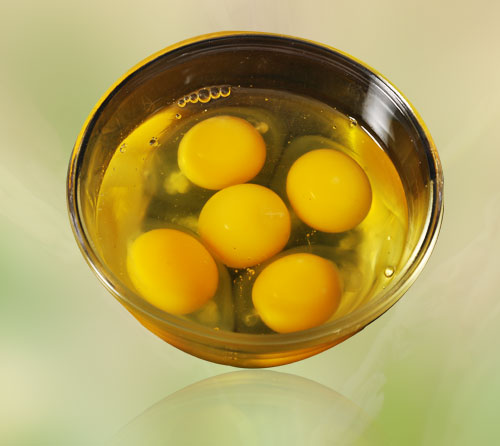 namakkal egg suppliers